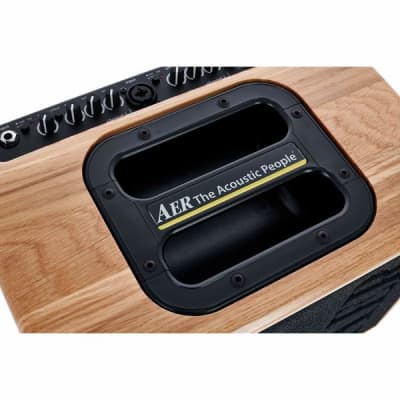 AER Compact-60/4-ONT | 60W Acoustic Amp w/ 8" Speaker, Natural Oak. New with Full Warranty! image 14