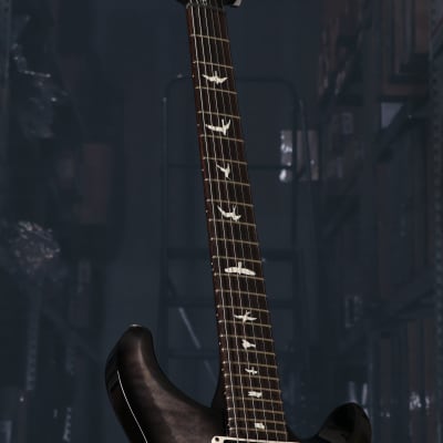 PRS S2 Custom 24 Electric Guitar Elephant Grey (serial- 8249) image 6