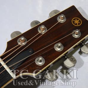 Yamaha Guitars - Online Shop | Tone Shop Guitars