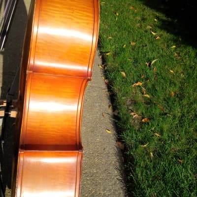 Kay 5 String-3/4 Upright Bass, Bass Fiddle, Double  Bass-Shop Setup-w/Ultralite Case and Bow image 14