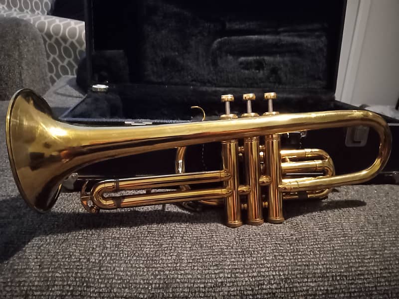 Vintage Roth 1956 1961 Brass/Gold. "Special Reverb