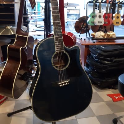 Takamine LTD 2021 Blue Rose ( Limited Edition 2021) w/bag | Reverb