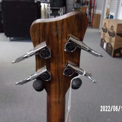 Warwick 4 String Bass Pro Series image 6