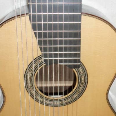 LUCIO NÚÑEZ Sophia 13-String Classical Harp Guitar, Spruce/Ziricote, w/Custom Case, Extremely Rare!! image 12