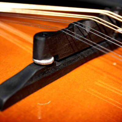 The Loar LM-600 Professional F-Style Mandolin, Brand New, Vintage Sunburst, CA Bridge, and  Case Included image 13