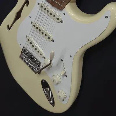 Custom Fender Thinline Stratocaster EJ Inspired Eric Johnson Signature Pickguard Assembly w/Gigbag image 4