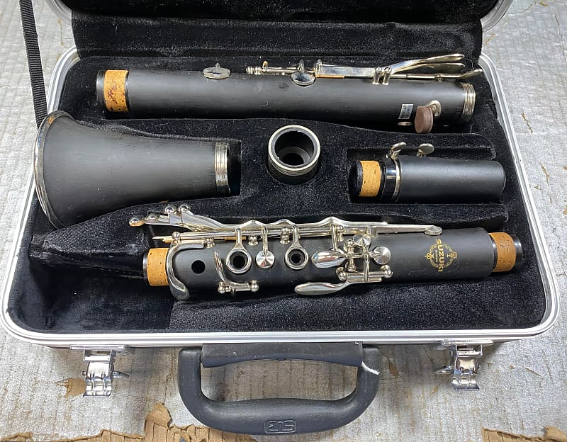 Suzuki Bb and Case Reverb