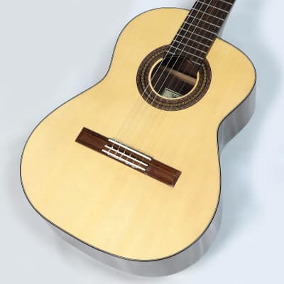 Yukinobu Chai No.10 Alto Guitar- Shipping Included* image 1