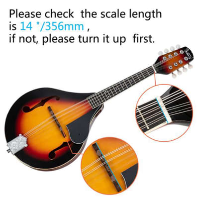 Glarry A Style 8-String Acoustic Mandolin Flatback Acoustic Mandolin with Pick Guard Sunset Color image 17