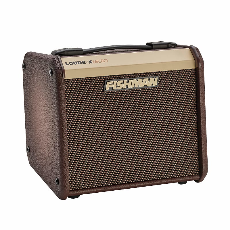Fishman Loudbox Micro 40w Acoustic Guitar Amp Reverb Canada