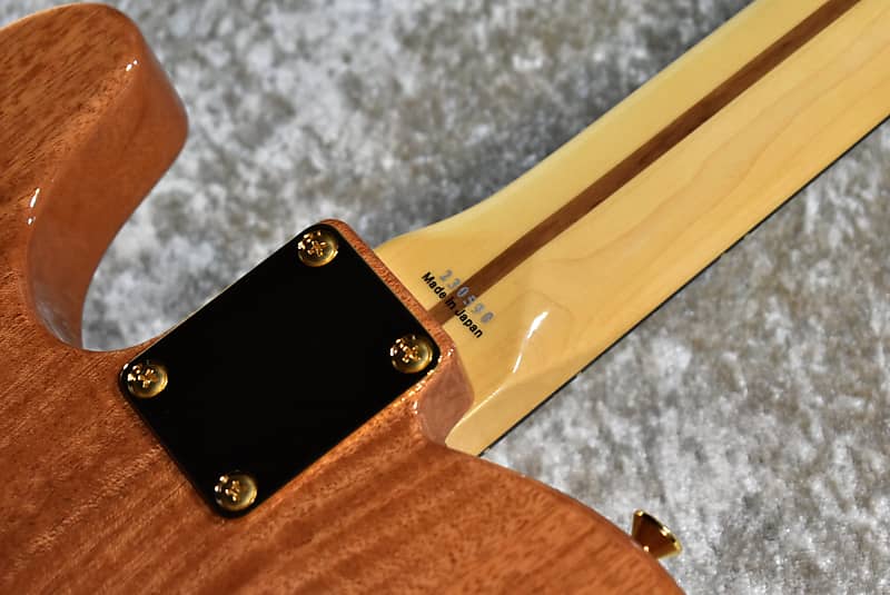 Tokai ATE135MH-G #230590 2023 - Natural ［Limited Mahogany