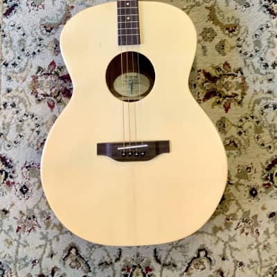 Ashbury Rathlin Tenor Guitar Bild 1