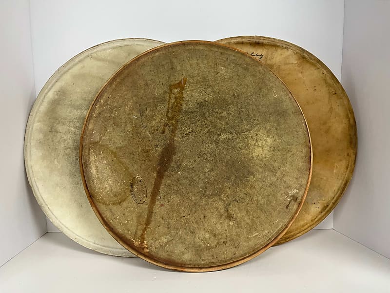 Vintage 14", 3 pack Calfskin drum heads Reverb