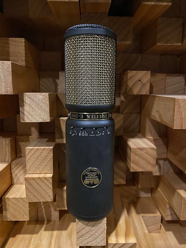 CAD Equitek E200 Multipattern Condenser Microphone 1990s Reverb