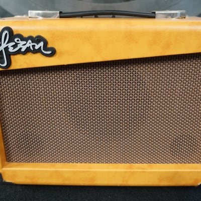 Esteban G-10 Guitar Amplifier for sale