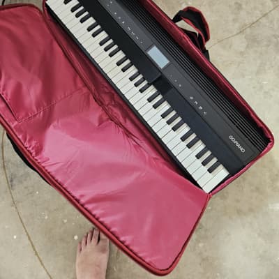Roland GO-61P GO:PIANO 61-Key Digital Piano 2017 - Present - Black