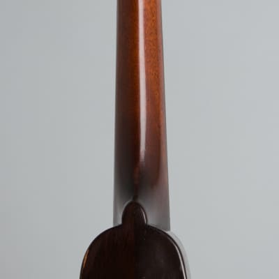 Gibson  Style A-1 Snakehead Carved Top Mandolin (1925), ser. #78901, original black hard shell case. image 9