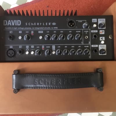 Schertler David wood image 2