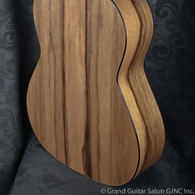 Raimundo Tatyana Ryzhkova Signature model, Cedar top  classical guitar image 14