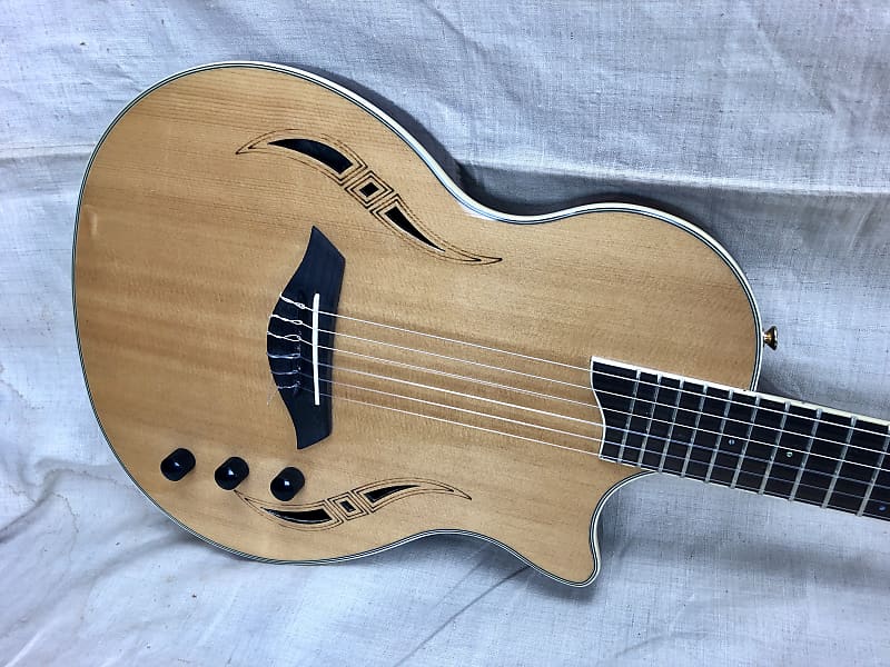 Giannini Nashlyn Series GNSL-S 12 String Thin Line Acoustic