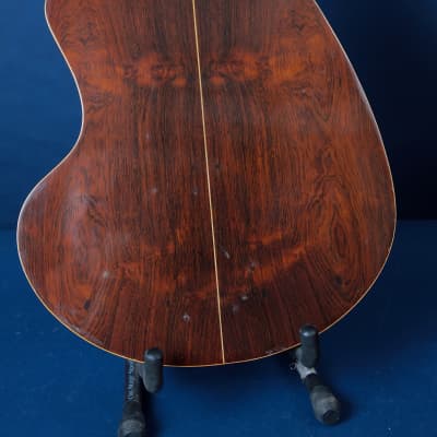 Giannini Craviola AWKNS6 / Nylon String and Bossa Ready! image 9