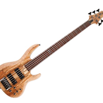 ESP LTD B-205SM 5-String Bass Guitar - Natural Satin image 1