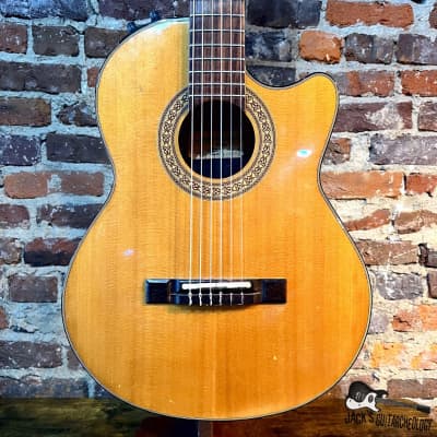 Washburn Mirage Nylon-Electric (1980s - Natural) for sale