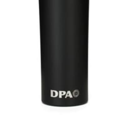 DPA 4018V-B-B01 4018V Softboost Supercardioid Mic with Wired Handle, in  Black