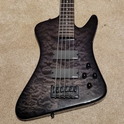 Spector Rex 5 - Quilted Trans Black | Reverb