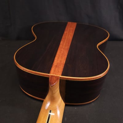 Alhambra Premier Pro Madagascar Javier Mengual Classical Guitar w/Hard Cse image 19