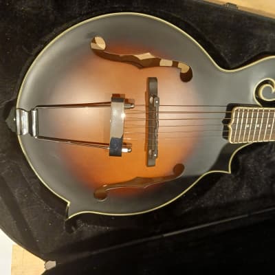 Gold Tone F-6 Manditar 2010s - Tobacco Sunburst image 4