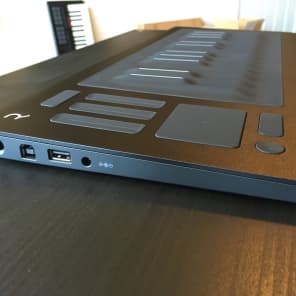 Roli Seaboard Rise 25 - Low Serial Number! | Reverb