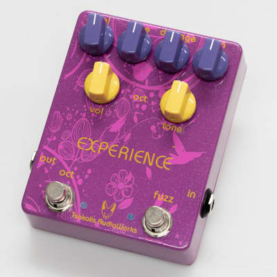 Tsakalis Audioworks Experience Fuzz/Octave | Reverb