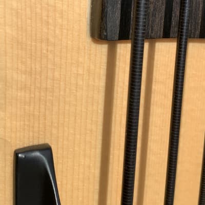 Warwick Alien 6 String Fretless Bass image 13
