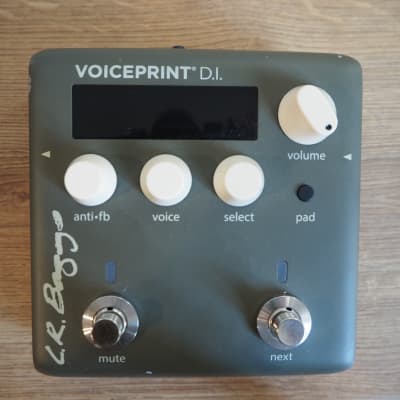 LR Baggs Voiceprint DI Acoustic Guitar Impulse Response