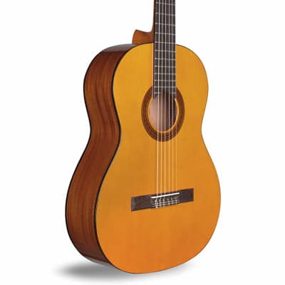 Cordoba Protege C1 Classical Guitar, Natural image 2