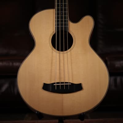 Tanglewood TW8 AB Acoustic Bass image 1