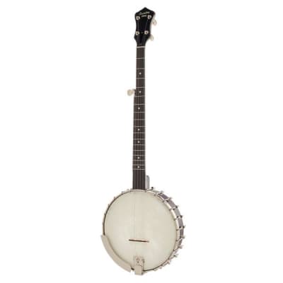 Recording King OT25-BR "Madison" Open Back Banjo, Scooped Fretboard. New with Full Warranty! image 2