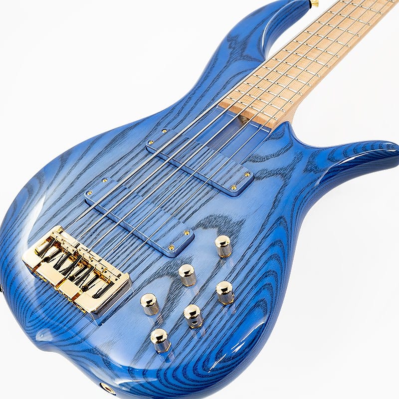 F-bass BN5-EL (Celestial Blue Burst)