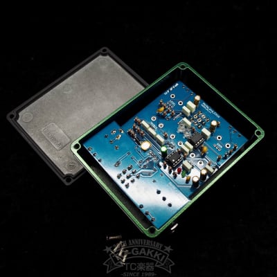 2020's HERBE&CHICK GAZON HCDS-1 | Reverb España