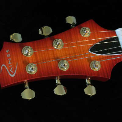 Raines LA6 or LA7 2019 6 or 7 String Electric Jazz Guitar Semi Hollowbody  TRADES! image 19