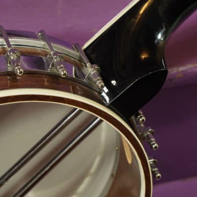 2022 Gold Tone OT-800LN Longneck 5-String Banjo (VIDEO! Fresh Setup, Ready) image 12