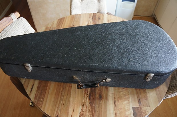 Mark leaf guitar shop case