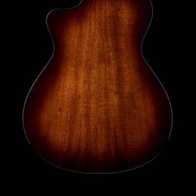Taylor 222ce-K DLX #13375 (Demonstration Model) image 2