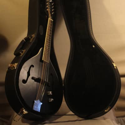 Luna BGM MOON A Moonbird A-Style Mandolin with Electronics 2010s - Black for sale