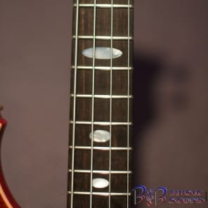 Alembic BURLREDWOOD4 Custom Burl Redwoood Top 4 String Bass with Hard Case image 3