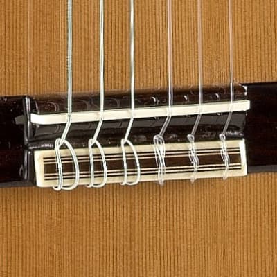 Alhambra 3C-CW Mahogany Classical with Cutaway image 5