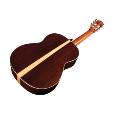 Cordoba - C12 SP - Nylon-String Acoustic Guitar - Spruce - Natural - w/ Cordoba Deluxe Humidified Archtop Wood Case image 4