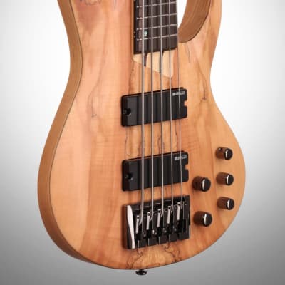 ESP LTD B205SM Electric Bass, 5-String, Natural Satin image 4
