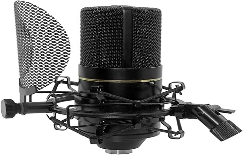 Mint MXL 770 Complete Studio Condenser Microphone with Pop | Reverb